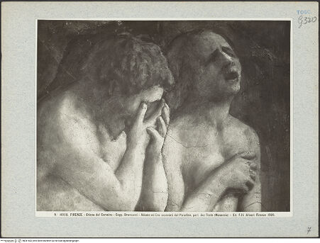 Vorderseite von bh041583_recto