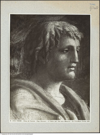 Vorderseite von bh041595_recto