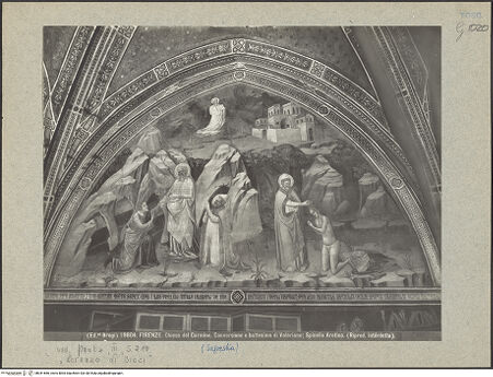 Vorderseite von bh041666_recto