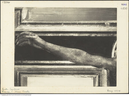 Vorderseite von bh041796_recto