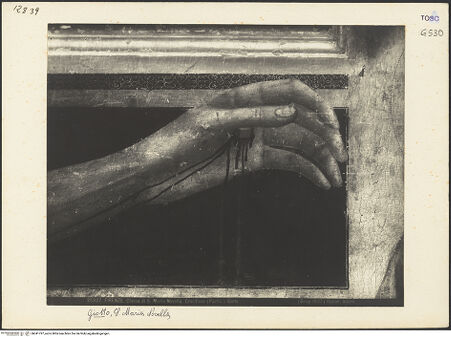 Vorderseite von bh041797_recto