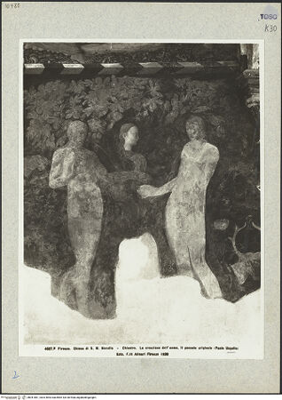 Vorderseite von bh041881_recto