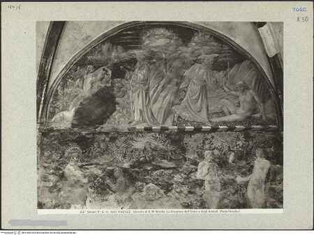 Vorderseite von bh041883_recto