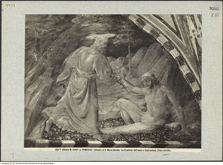 Vorderseite von bh041884_recto