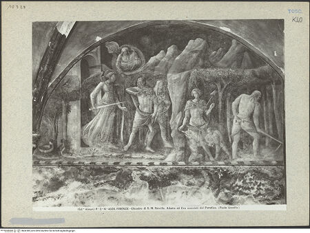 Vorderseite von bh041885_recto