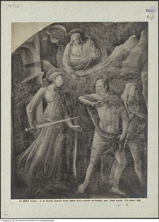 Vorderseite von bh041886_recto