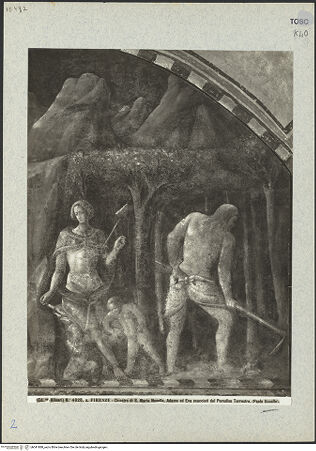 Vorderseite von bh041888_recto