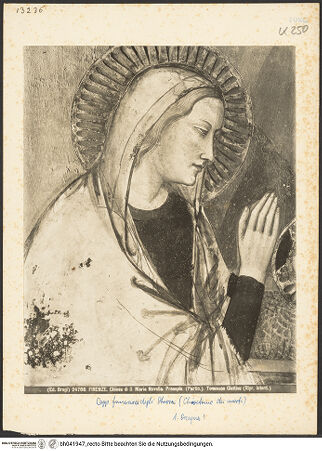 Vorderseite von bh041947_recto