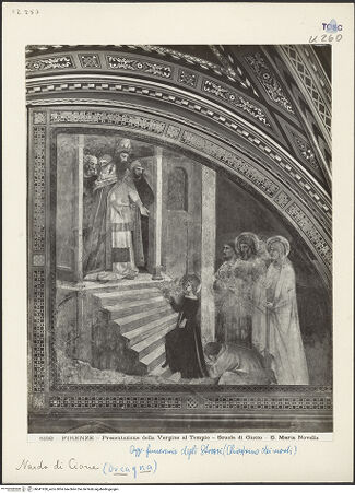 Vorderseite von bh041950_recto