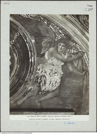 Vorderseite von bh041989_recto