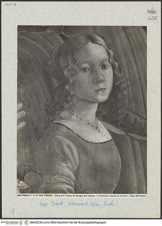 Vorderseite von bh042230_recto