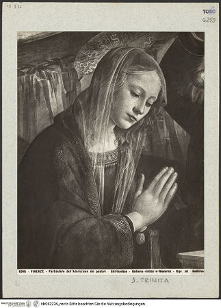 Vorderseite von bh042236_recto