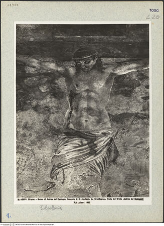 Vorderseite von bh042274_recto