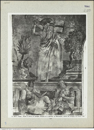 Vorderseite von bh042277_recto