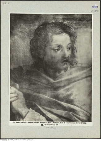 Vorderseite von bh042295_recto