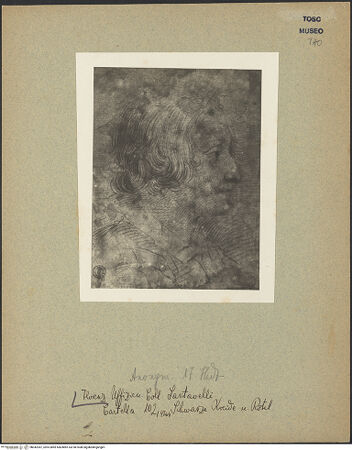 Vorderseite von bh042387_recto