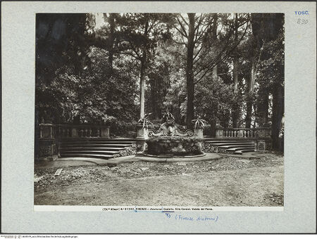 Vorderseite von bh042419_recto