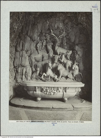 Vorderseite von bh042440_recto