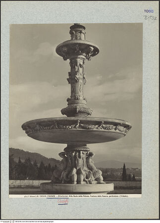 Vorderseite von bh042446_recto