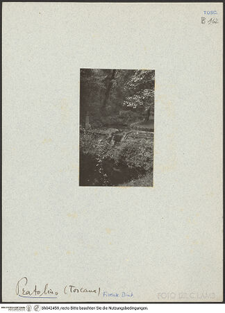 Vorderseite von bh042459_recto