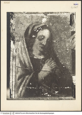 Vorderseite von bh042474_recto