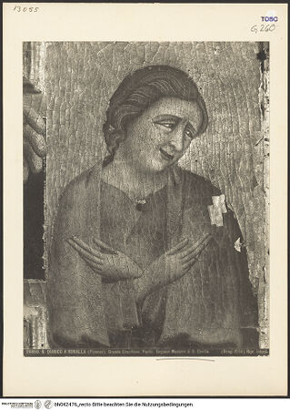 Vorderseite von bh042476_recto