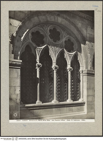 Vorderseite von bh042666_recto