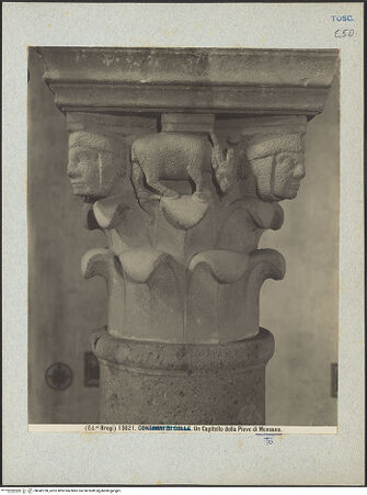 Vorderseite von bh042790_recto