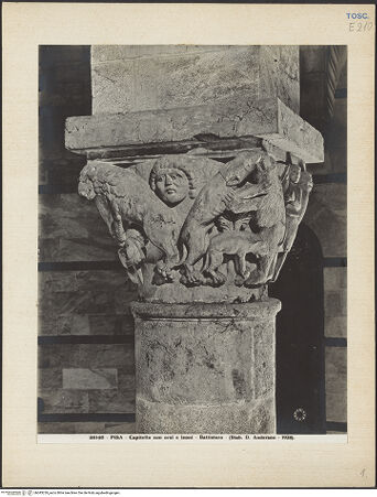 Vorderseite von bh043239_recto