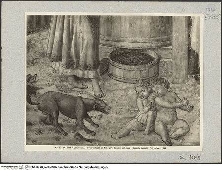 Vorderseite von bh043290_recto