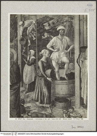 Vorderseite von bh043297_recto