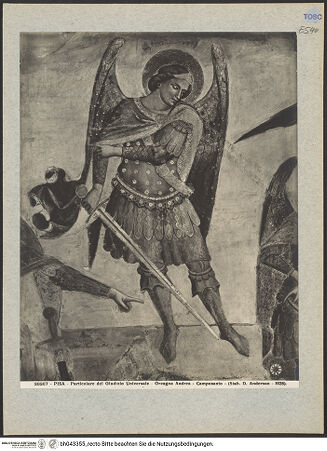 Vorderseite von bh043355_recto