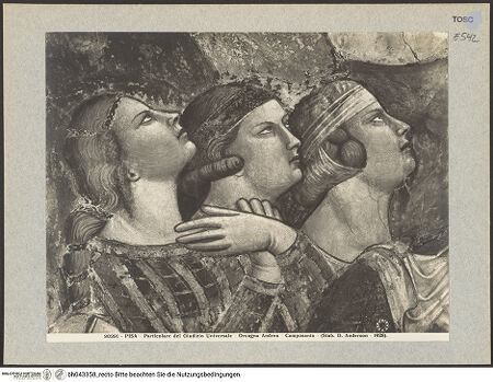 Vorderseite von bh043358_recto