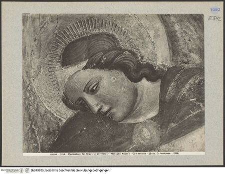 Vorderseite von bh043359_recto