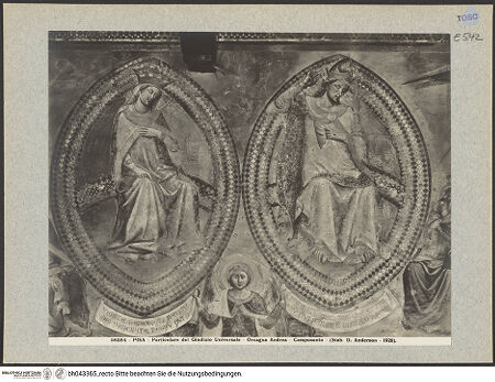 Vorderseite von bh043365_recto