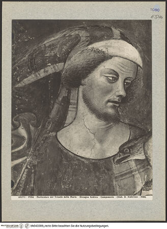 Vorderseite von bh043389_recto