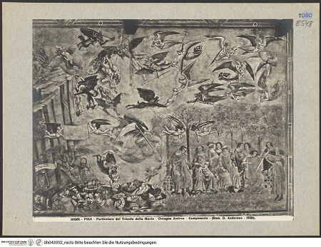 Vorderseite von bh043392_recto