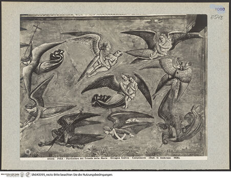 Vorderseite von bh043395_recto