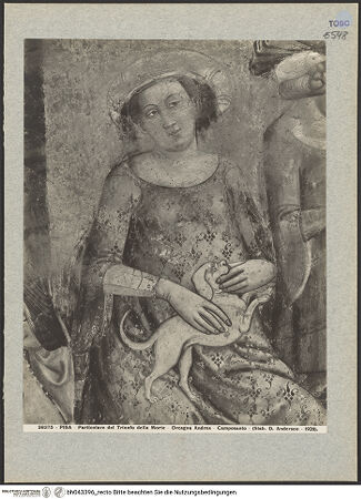 Vorderseite von bh043396_recto