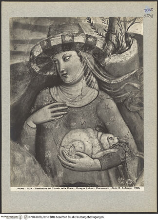 Vorderseite von bh043400_recto