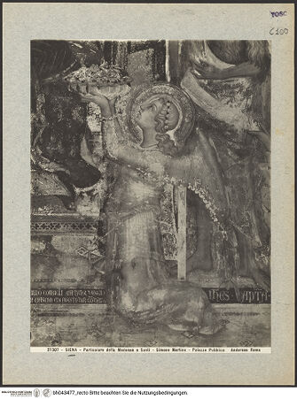 Vorderseite von bh043477_recto