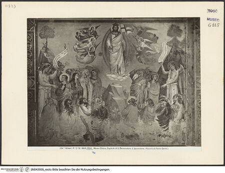 Vorderseite von bh043505_recto