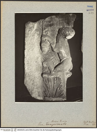 Vorderseite von bh043629_recto