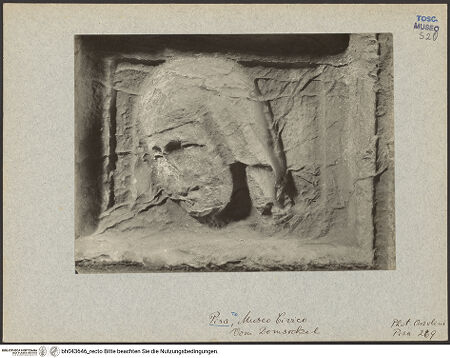 Vorderseite von bh043646_recto