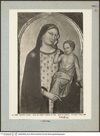 Vorderseite von bh043864_recto