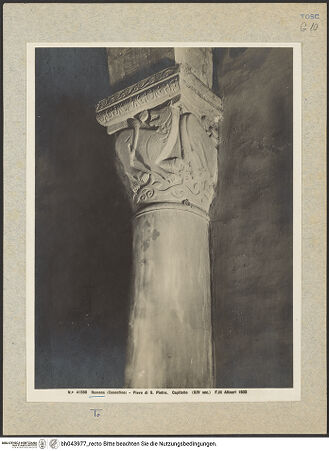 Vorderseite von bh043977_recto