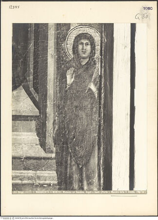 Vorderseite von bh044228_recto