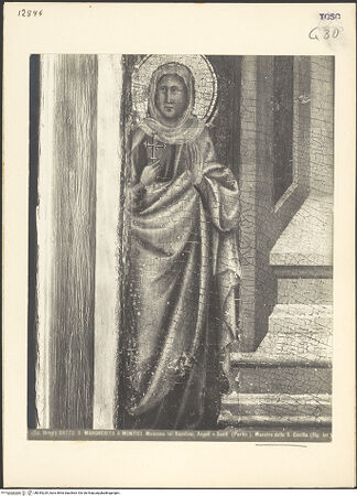 Vorderseite von bh044229_recto