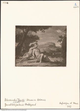 Vorderseite von bh044325_recto