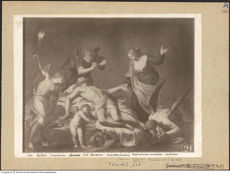 Vorderseite von bh044338_recto